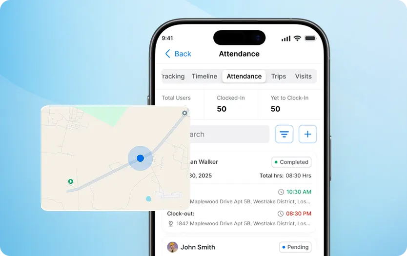 section image