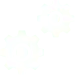 Forecasting growth to succeed